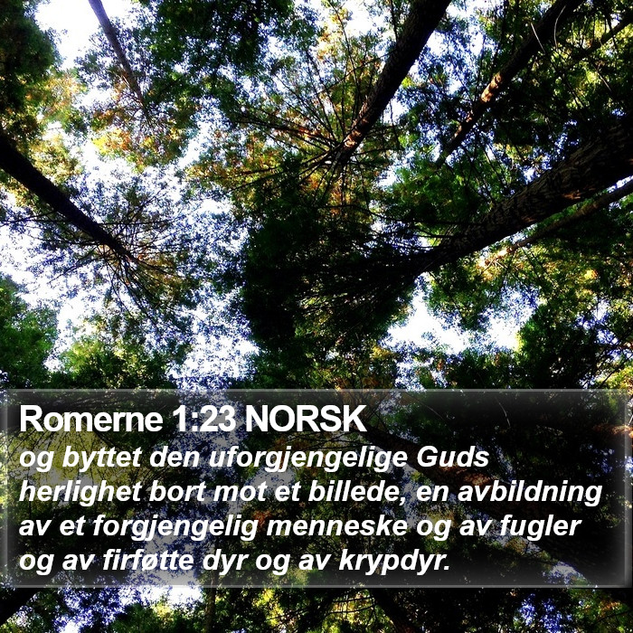 Romerne 1:23 NORSK Bible Study