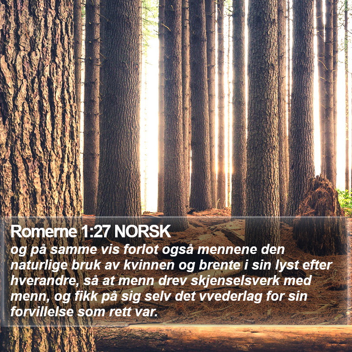 Romerne 1:27 NORSK Bible Study