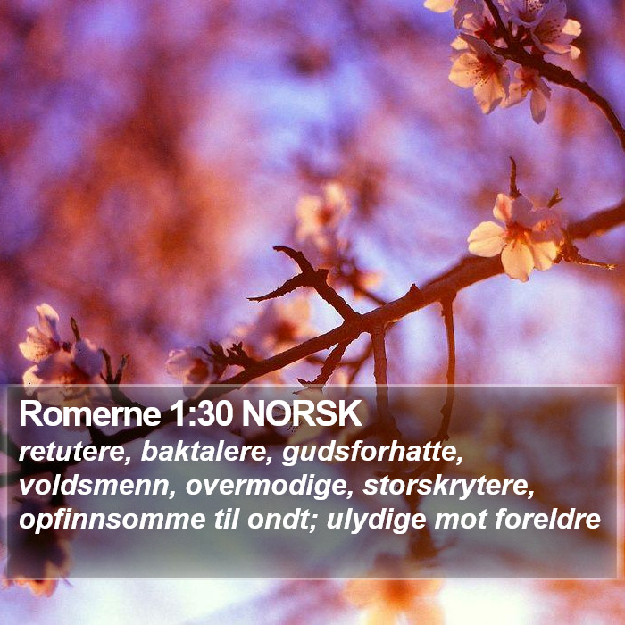 Romerne 1:30 NORSK Bible Study