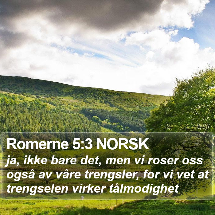 Romerne 5:3 NORSK Bible Study