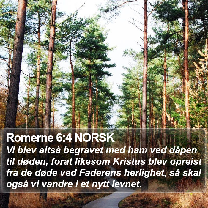 Romerne 6:4 NORSK Bible Study