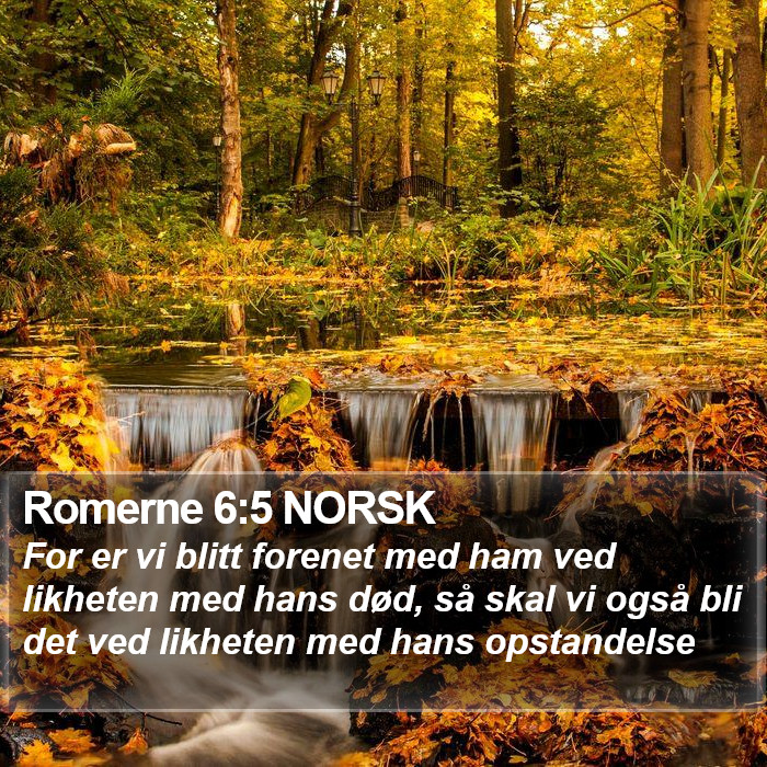 Romerne 6:5 NORSK Bible Study