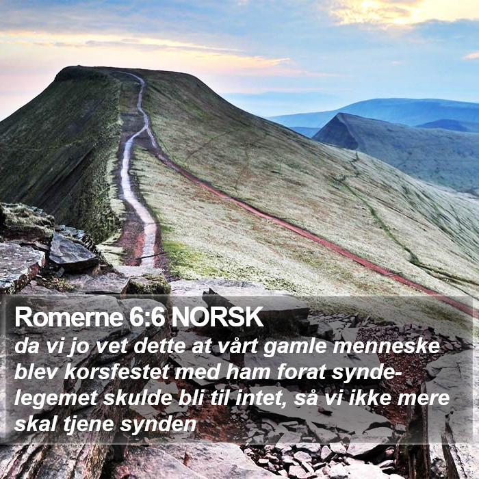 Romerne 6:6 NORSK Bible Study