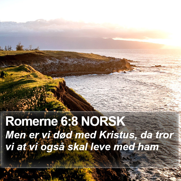 Romerne 6:8 NORSK Bible Study