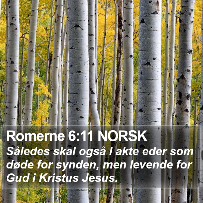 Romerne 6:11 NORSK Bible Study