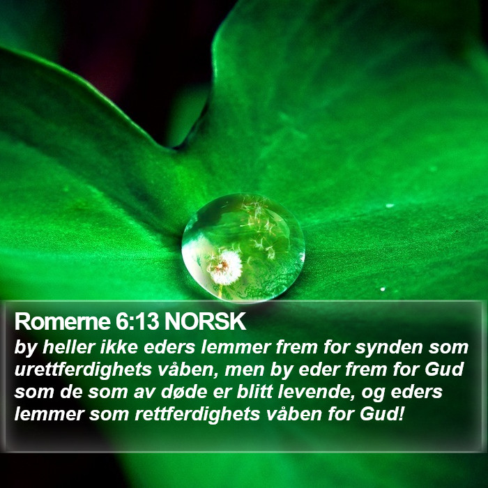 Romerne 6:13 NORSK Bible Study