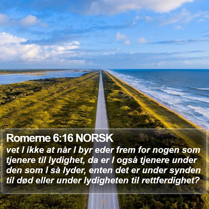 Romerne 6:16 NORSK Bible Study