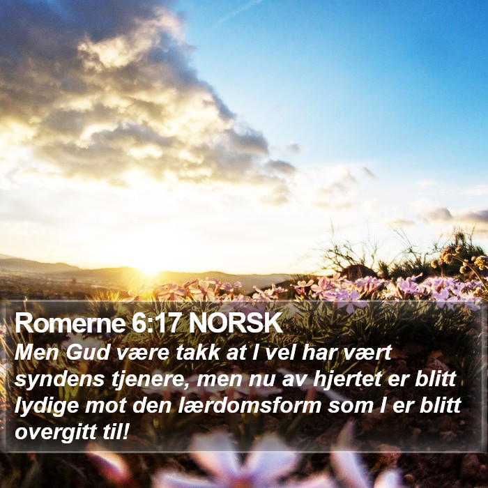 Romerne 6:17 NORSK Bible Study