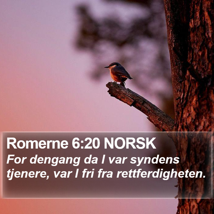 Romerne 6:20 NORSK Bible Study