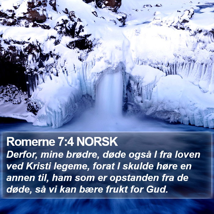 Romerne 7:4 NORSK Bible Study