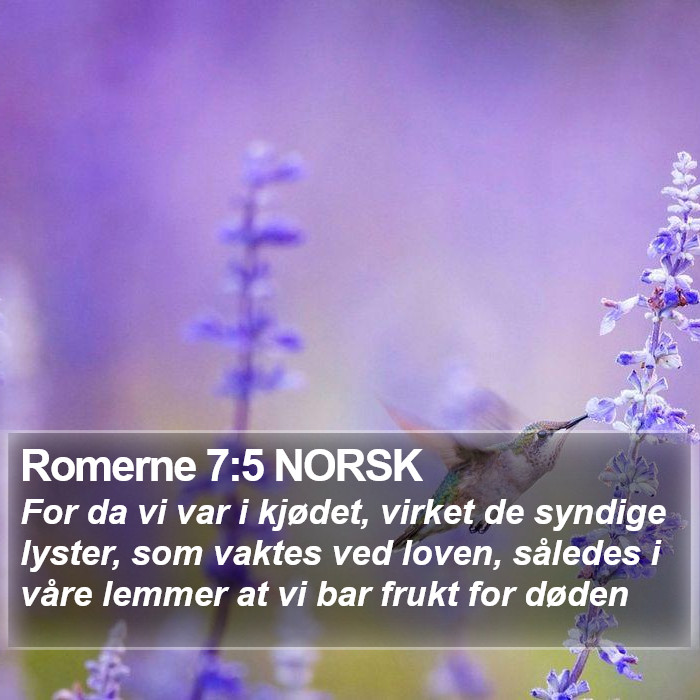 Romerne 7:5 NORSK Bible Study