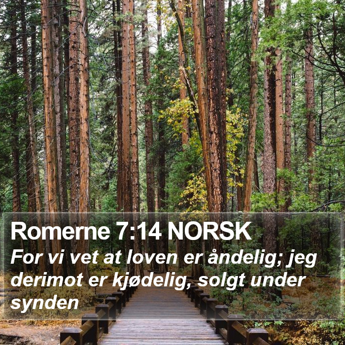 Romerne 7:14 NORSK Bible Study