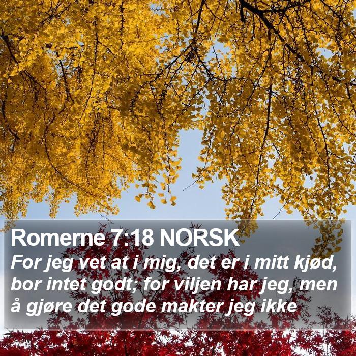 Romerne 7:18 NORSK Bible Study