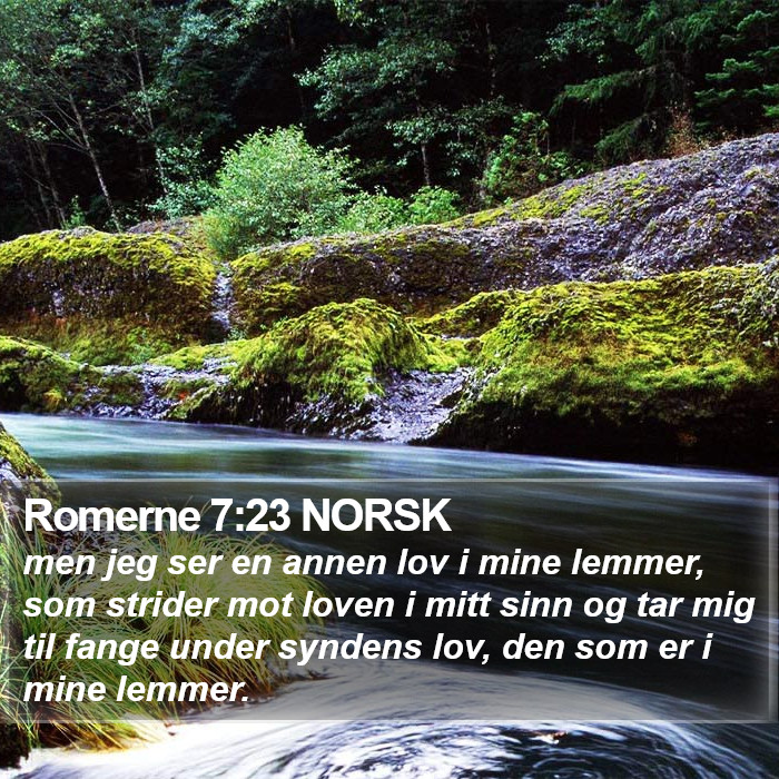 Romerne 7:23 NORSK Bible Study