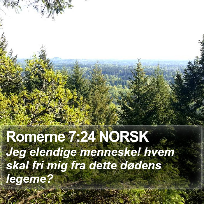 Romerne 7:24 NORSK Bible Study