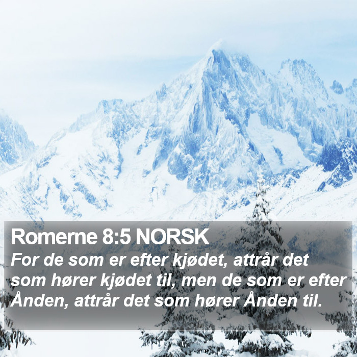 Romerne 8:5 NORSK Bible Study