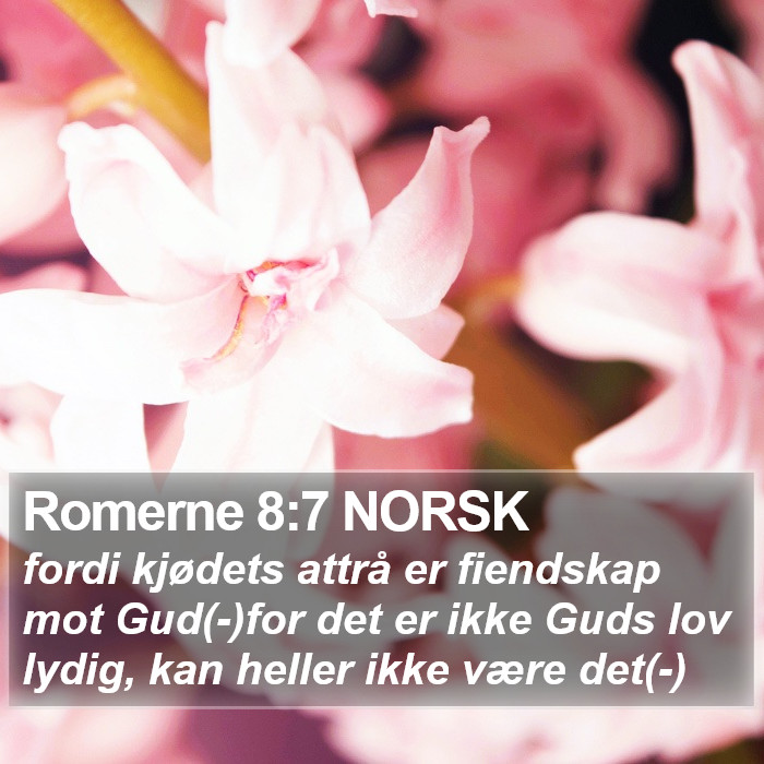 Romerne 8:7 NORSK Bible Study