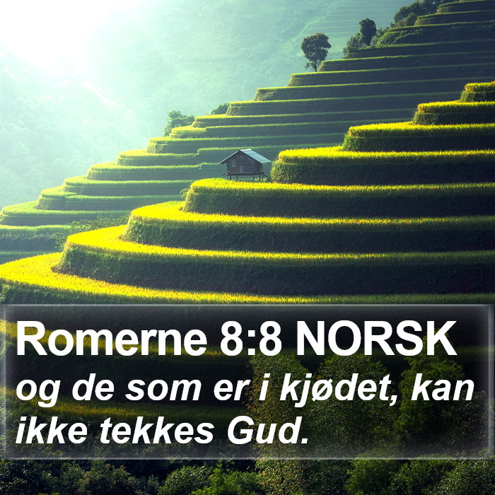 Romerne 8:8 NORSK Bible Study