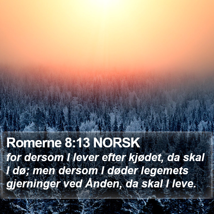 Romerne 8:13 NORSK Bible Study