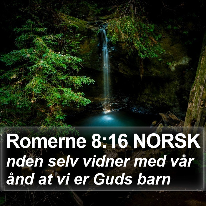 Romerne 8:16 NORSK Bible Study