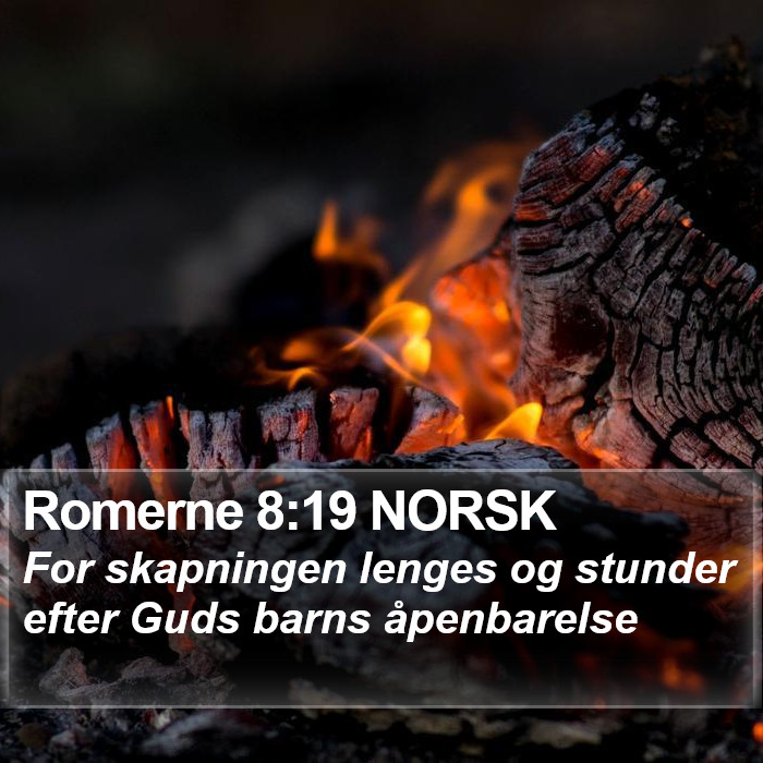 Romerne 8:19 NORSK Bible Study