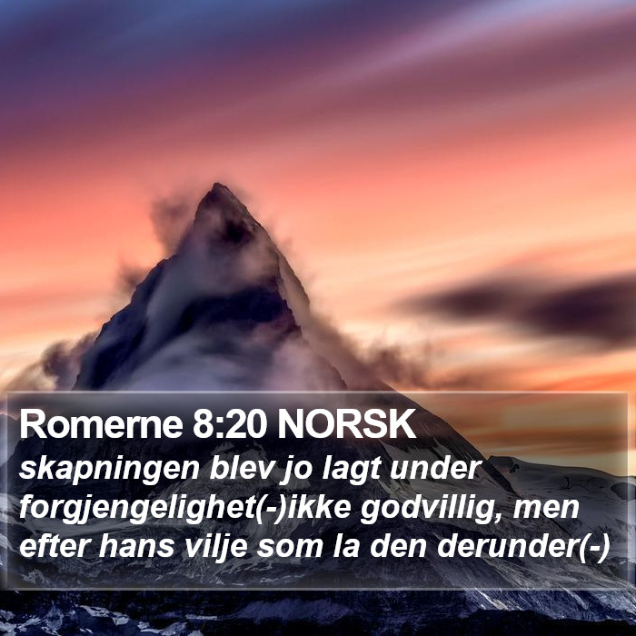 Romerne 8:20 NORSK Bible Study