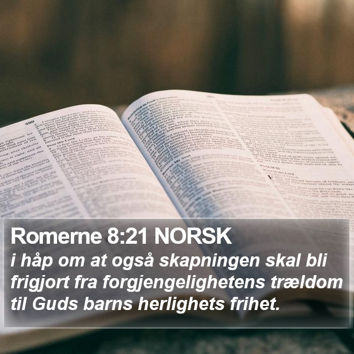 Romerne 8:21 NORSK Bible Study