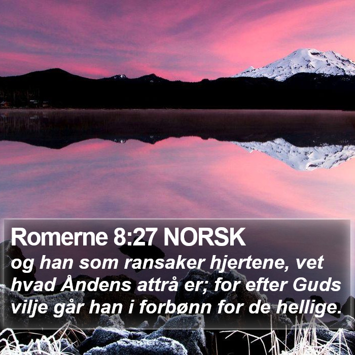 Romerne 8:27 NORSK Bible Study