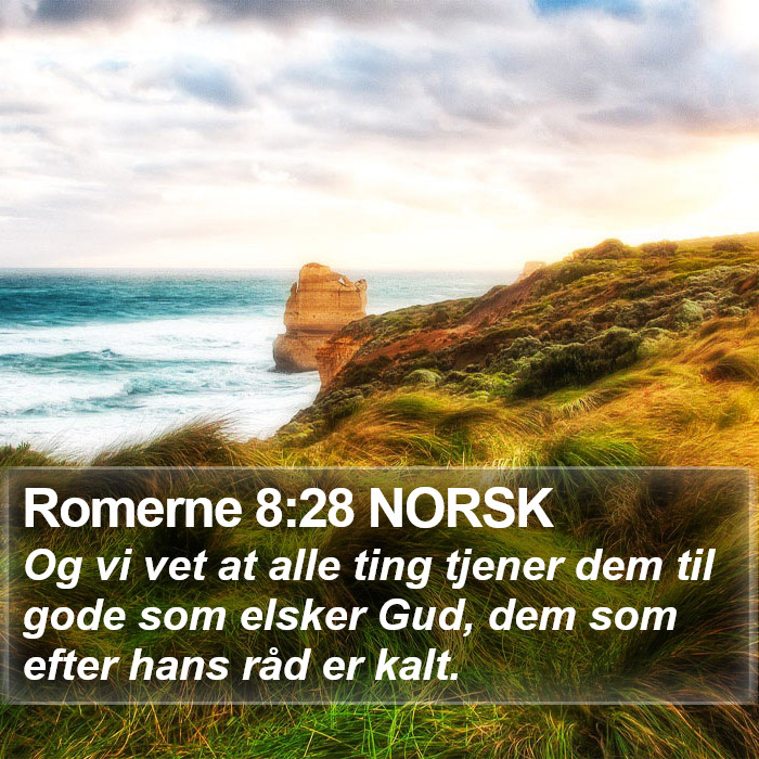 Romerne 8:28 NORSK Bible Study