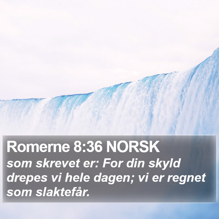 Romerne 8:36 NORSK Bible Study