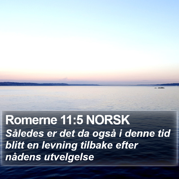 Romerne 11:5 NORSK Bible Study