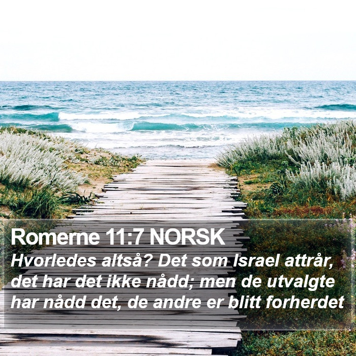 Romerne 11:7 NORSK Bible Study