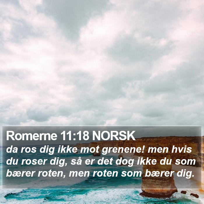 Romerne 11:18 NORSK Bible Study