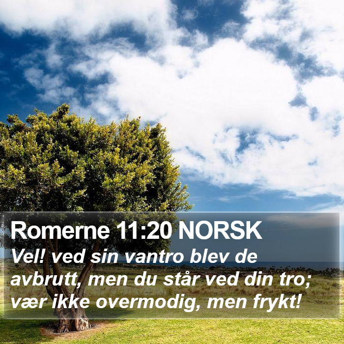 Romerne 11:20 NORSK Bible Study