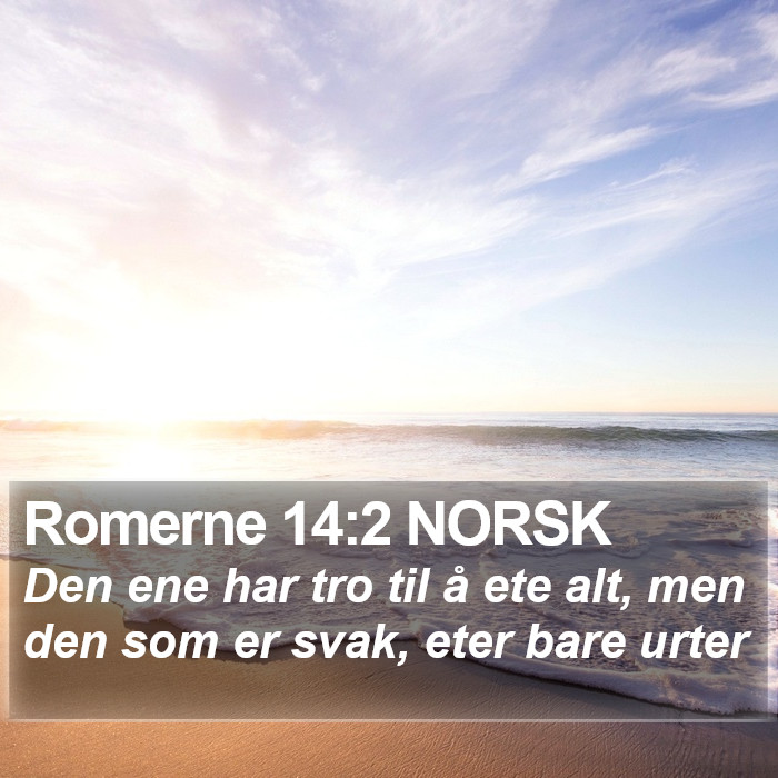 Romerne 14:2 NORSK Bible Study