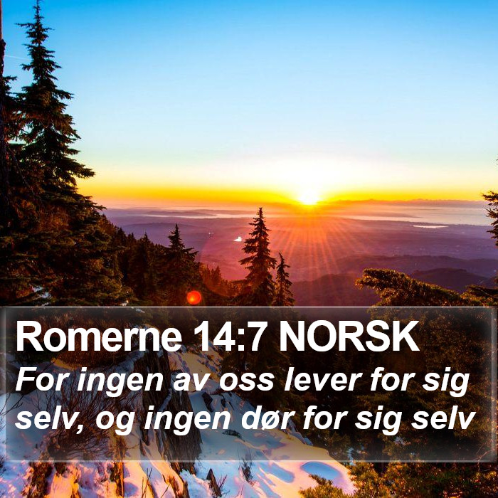 Romerne 14:7 NORSK Bible Study