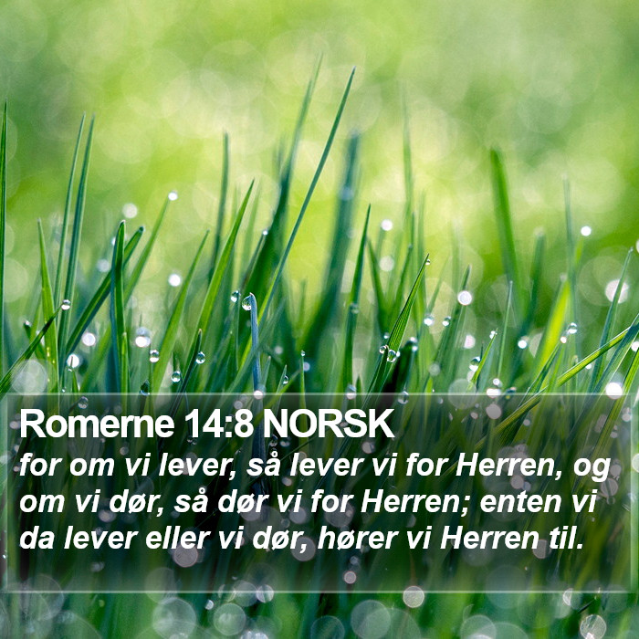 Romerne 14:8 NORSK Bible Study