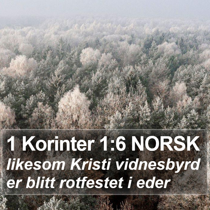 1 Korinter 1:6 NORSK Bible Study