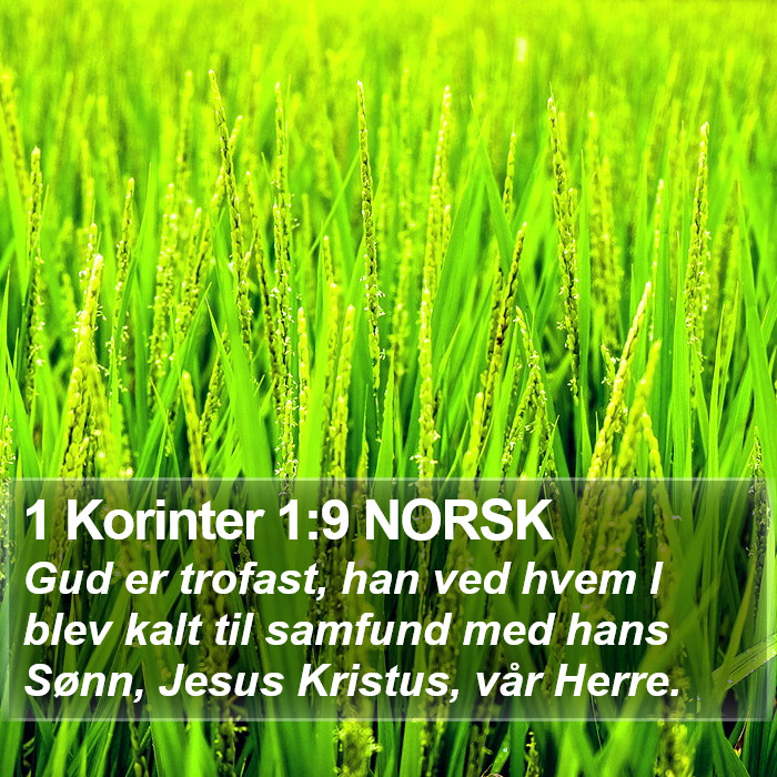 1 Korinter 1:9 NORSK Bible Study