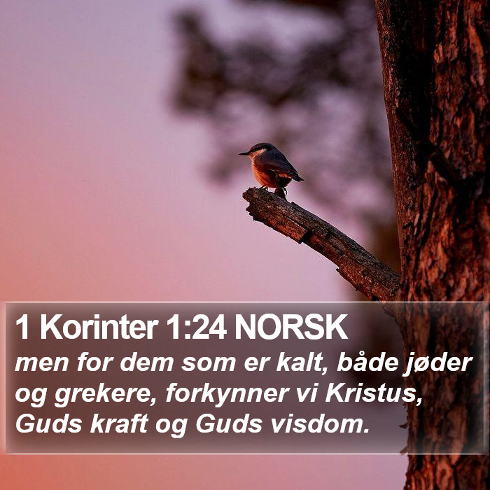 1 Korinter 1:24 NORSK Bible Study