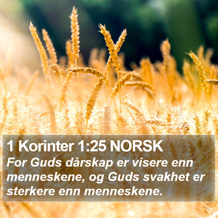 1 Korinter 1:25 NORSK Bible Study