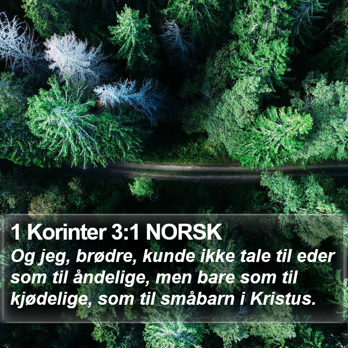 1 Korinter 3:1 NORSK Bible Study