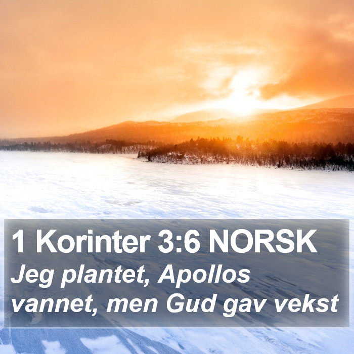 1 Korinter 3:6 NORSK Bible Study