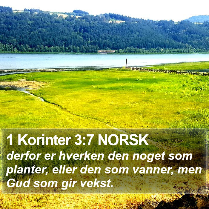 1 Korinter 3:7 NORSK Bible Study