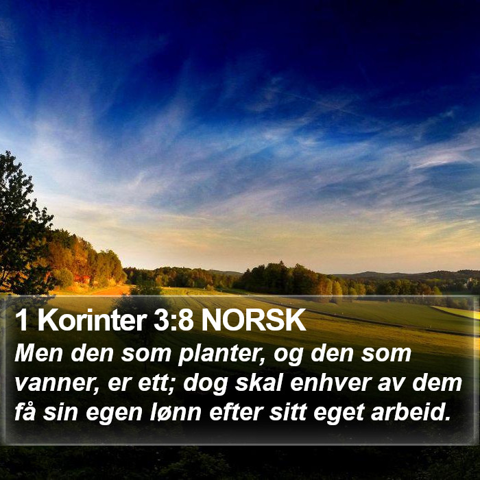 1 Korinter 3:8 NORSK Bible Study