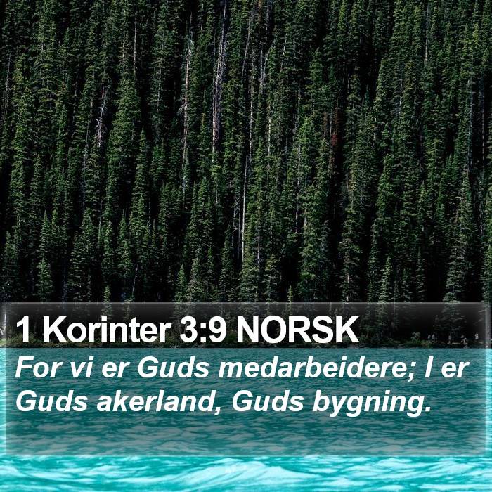 1 Korinter 3:9 NORSK Bible Study