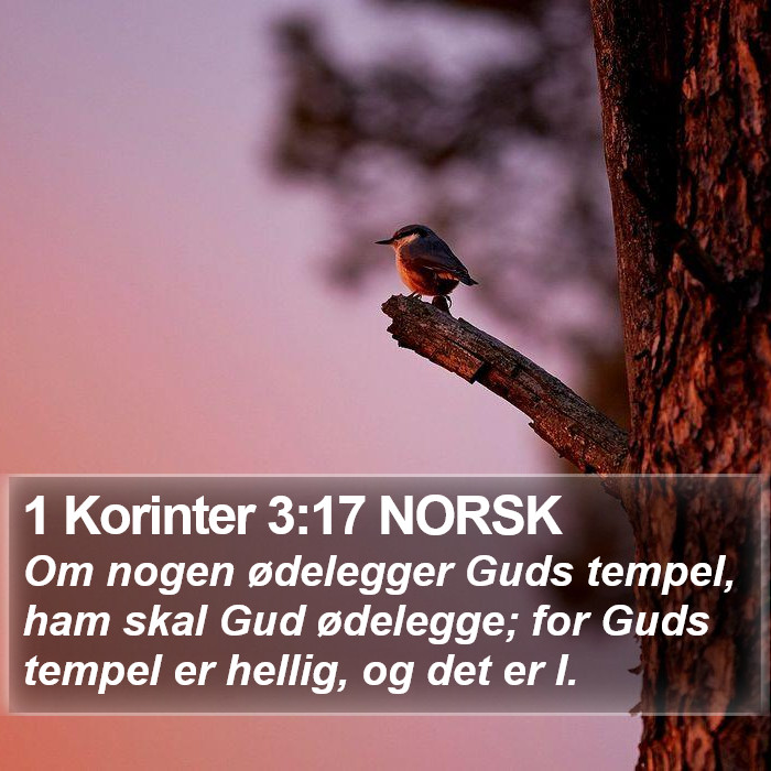 1 Korinter 3:17 NORSK Bible Study