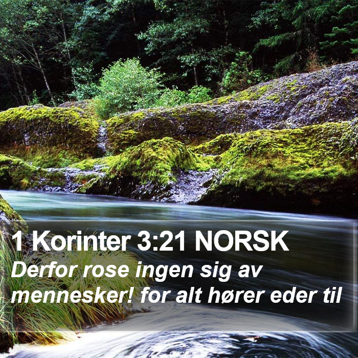 1 Korinter 3:21 NORSK Bible Study