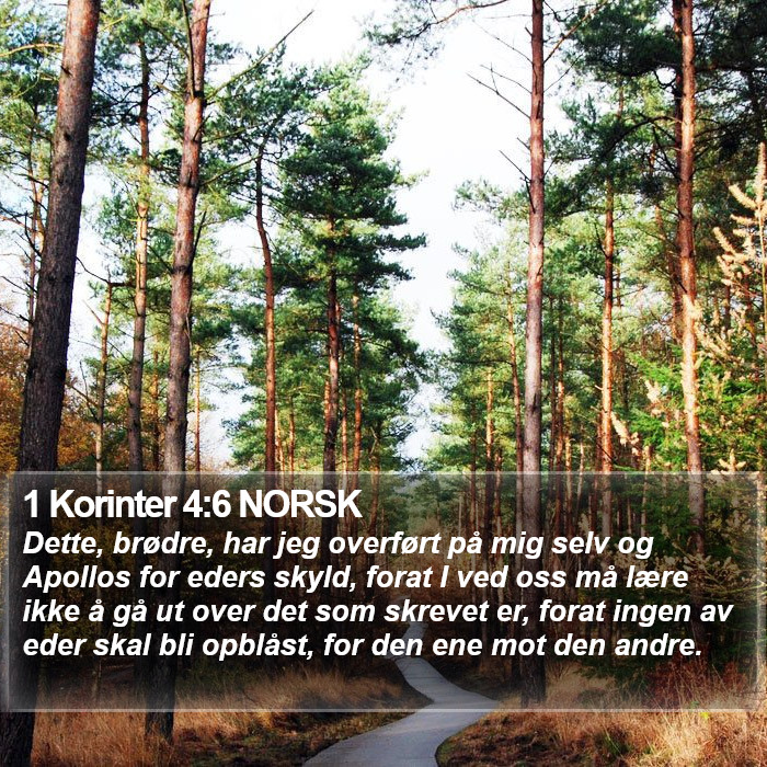 1 Korinter 4:6 NORSK Bible Study