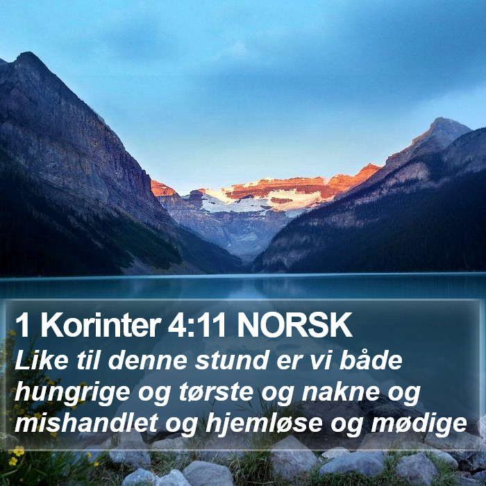 1 Korinter 4:11 NORSK Bible Study